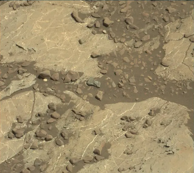 Sol 1985: Mast Camera (Mastcam)