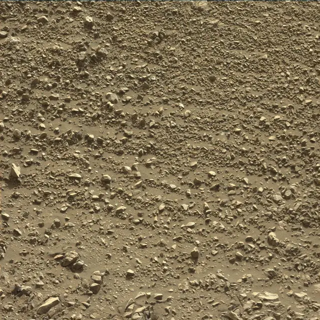 Sol 1989: Mast Camera (Mastcam)