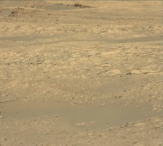Sol 1991: Mast Camera (Mastcam)