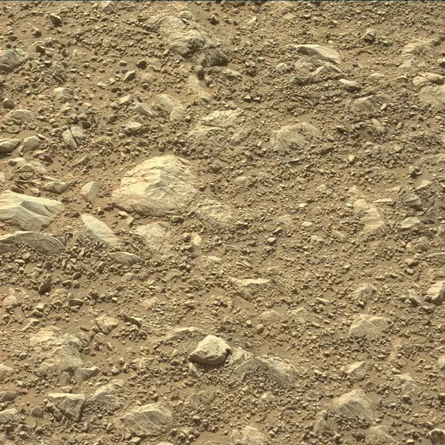 Sol 1991: Mast Camera (Mastcam)