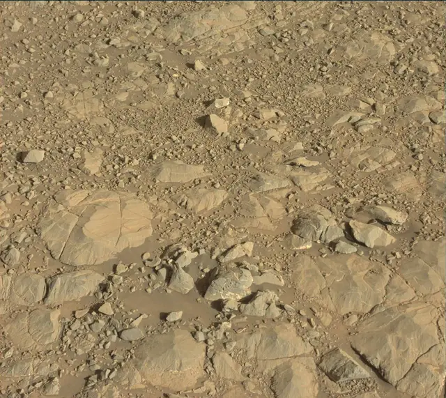 Sol 1991: Mast Camera (Mastcam)