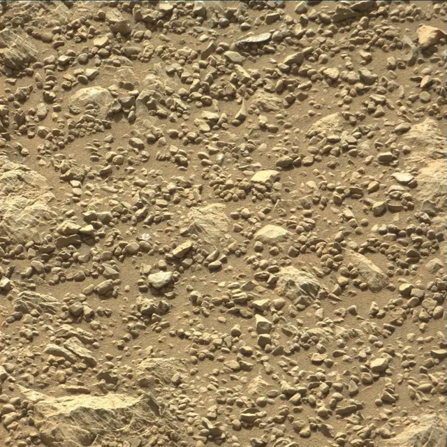 Sol 1991: Mast Camera (Mastcam)