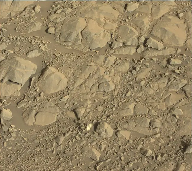 Sol 1993: Mast Camera (Mastcam)