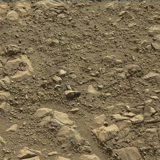 Sol 1993: Mast Camera (Mastcam)