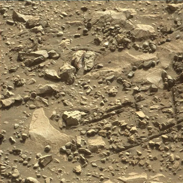 Sol 1993: Mast Camera (Mastcam)