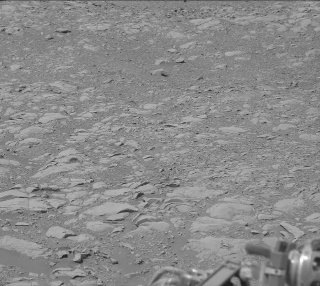 Sol 1995: Mast Camera (Mastcam)