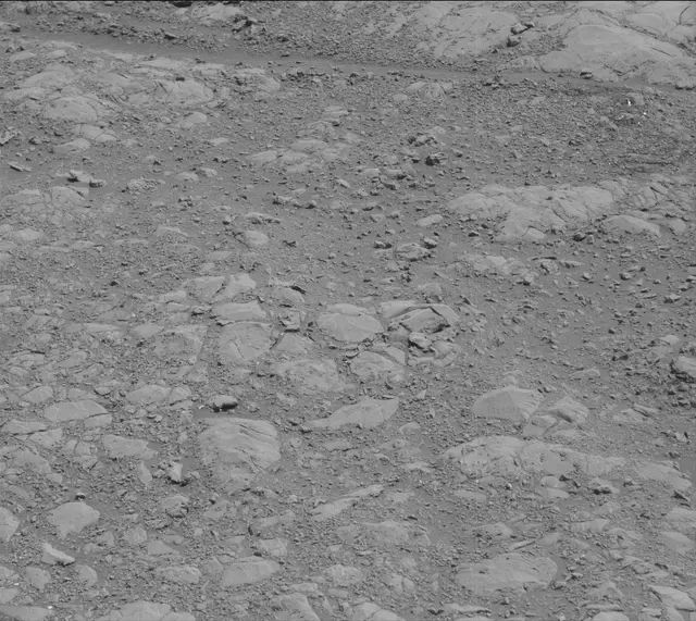 Sol 1995: Mast Camera (Mastcam)