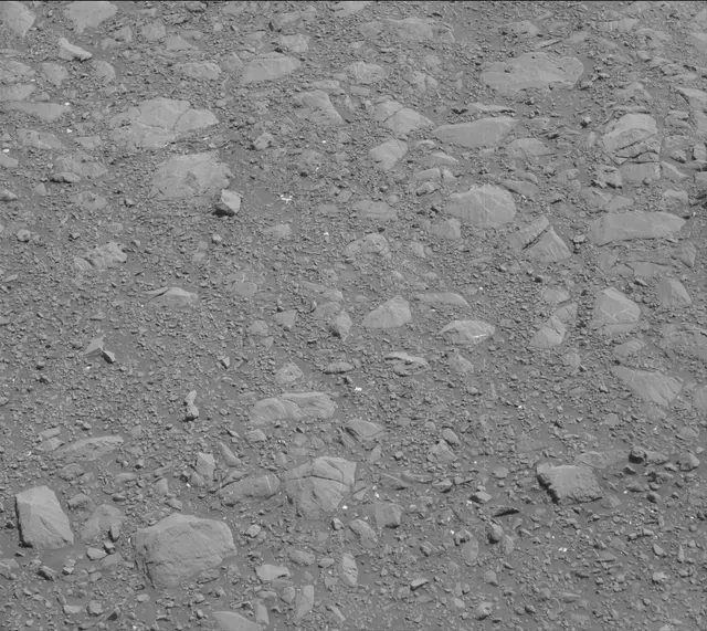 Sol 1995: Mast Camera (Mastcam)