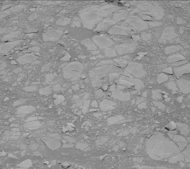 Sol 1995: Mast Camera (Mastcam)