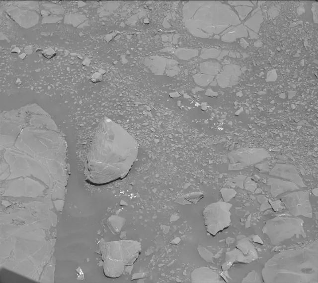 Sol 1995: Mast Camera (Mastcam)