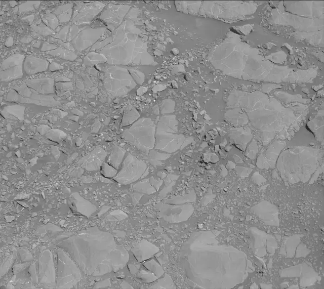 Sol 1995: Mast Camera (Mastcam)
