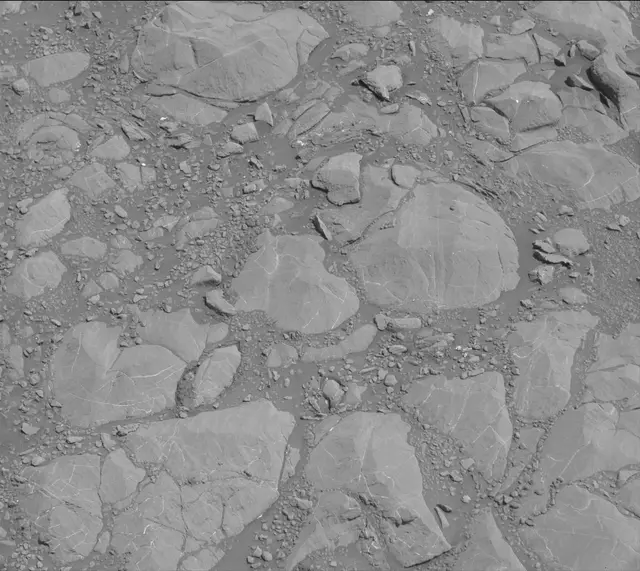 Sol 1995: Mast Camera (Mastcam)