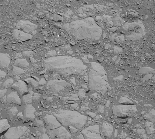 Sol 1995: Mast Camera (Mastcam)