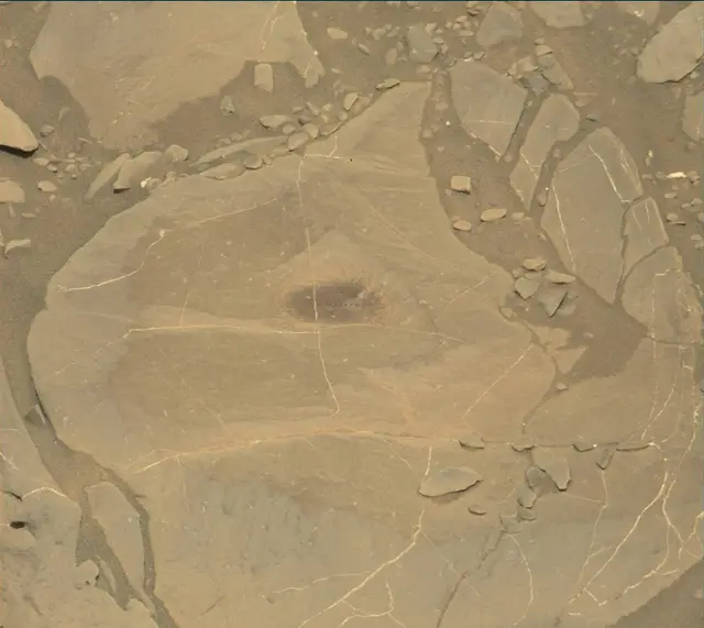 Sol 1995: Mast Camera (Mastcam)