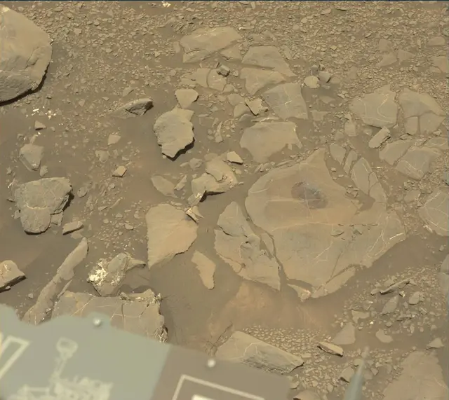 Sol 1996: Mast Camera (Mastcam)