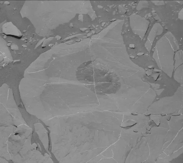 Sol 1996: Mast Camera (Mastcam)