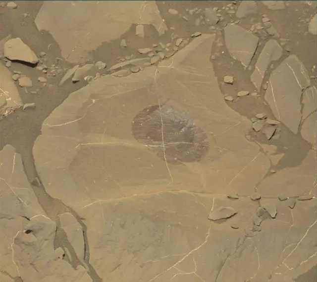 Sol 1996: Mast Camera (Mastcam)