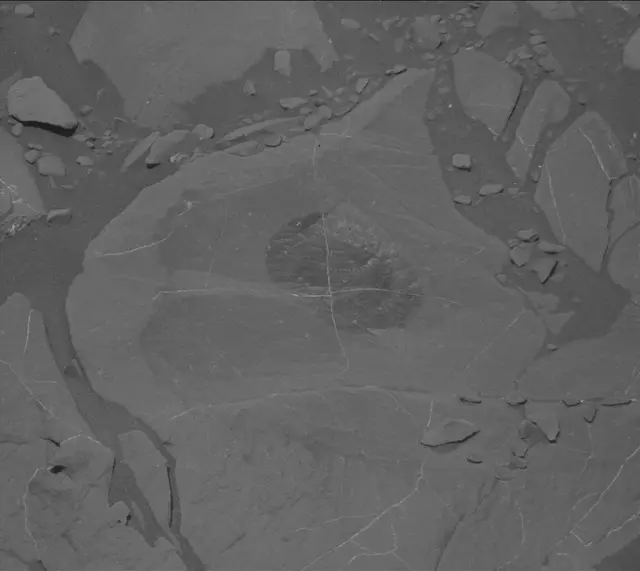 Sol 1996: Mast Camera (Mastcam)