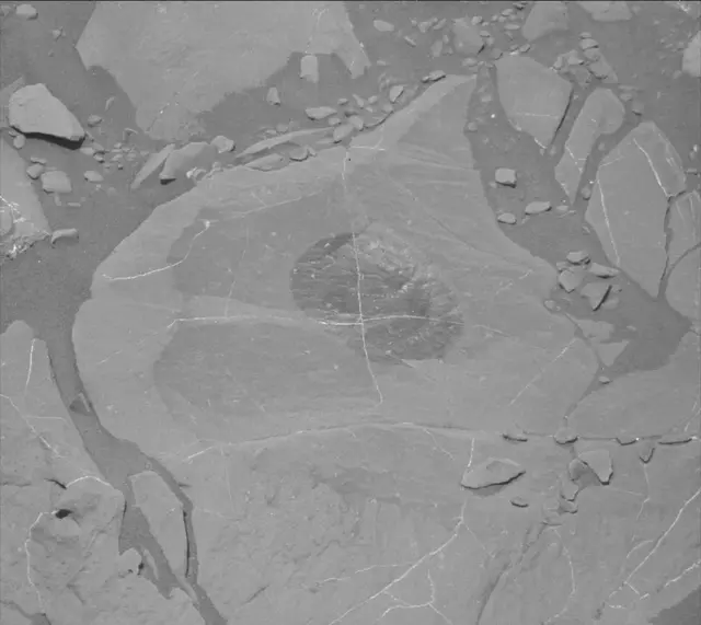 Sol 1996: Mast Camera (Mastcam)