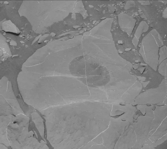 Sol 1996: Mast Camera (Mastcam)