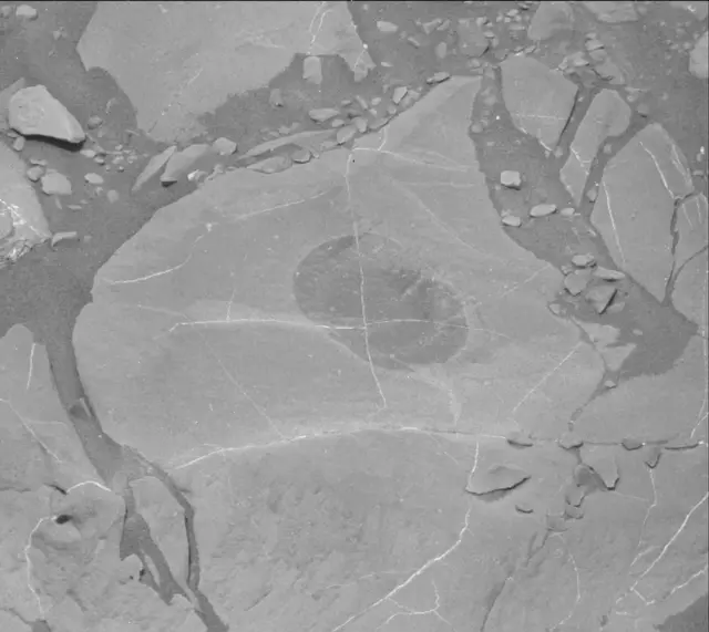 Sol 1996: Mast Camera (Mastcam)