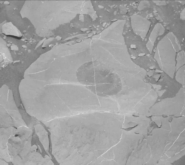 Sol 1996: Mast Camera (Mastcam)