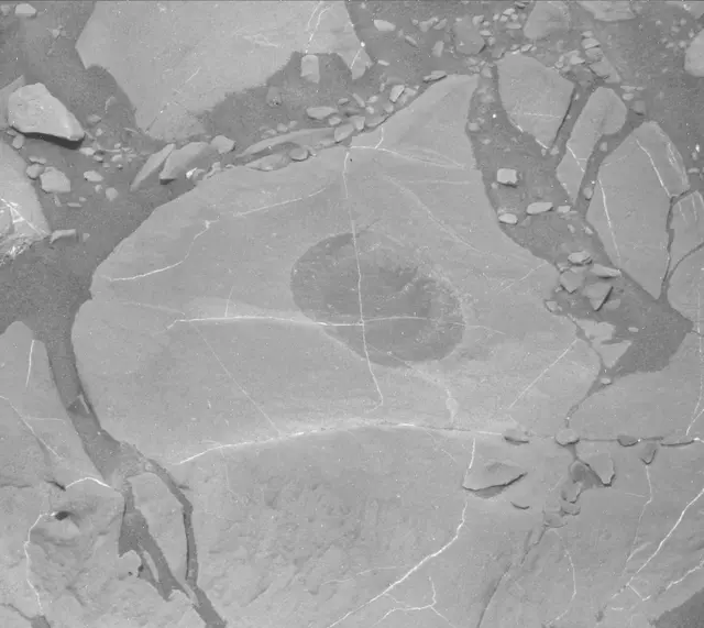 Sol 1996: Mast Camera (Mastcam)