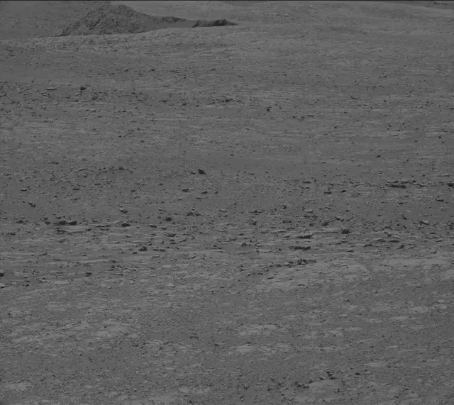 Sol 1998: Mast Camera (Mastcam)