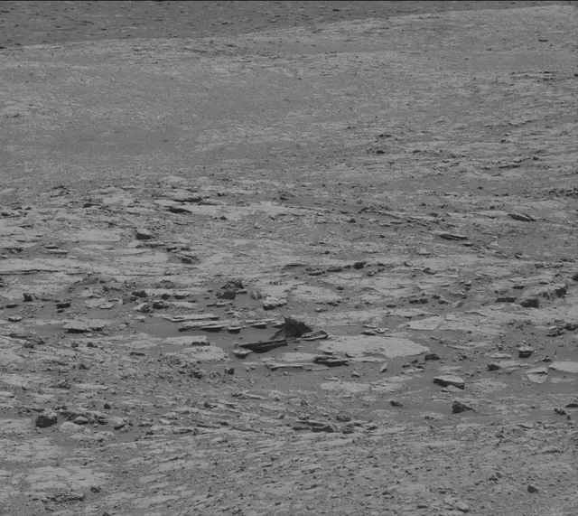 Sol 1998: Mast Camera (Mastcam)