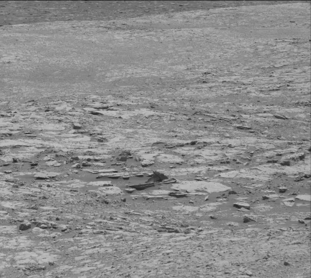 Sol 1998: Mast Camera (Mastcam)