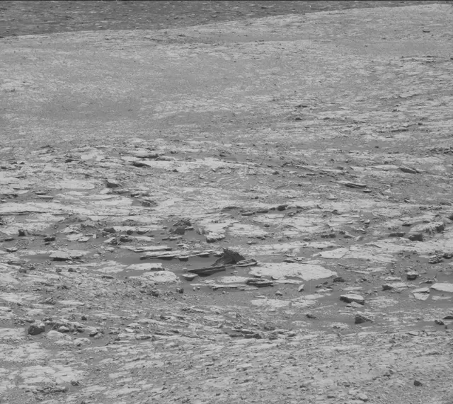 Sol 1998: Mast Camera (Mastcam)