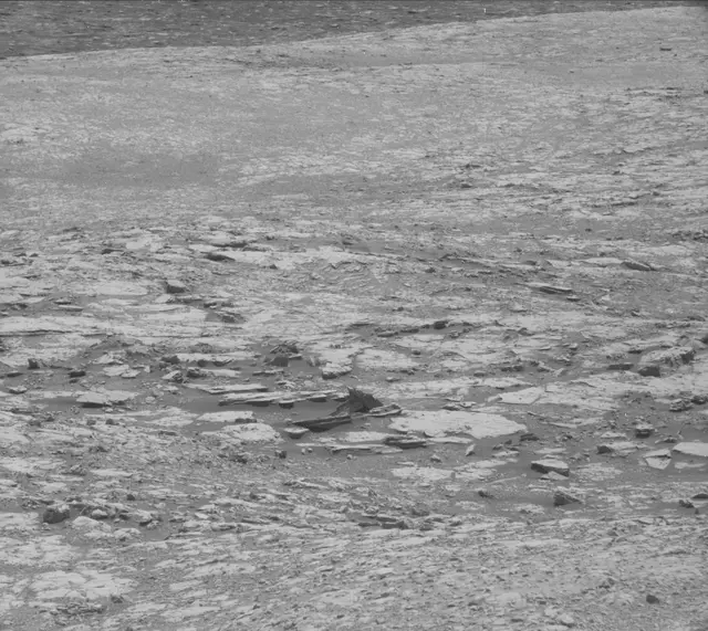 Sol 1998: Mast Camera (Mastcam)