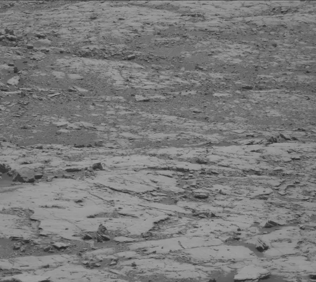 Sol 1998: Mast Camera (Mastcam)