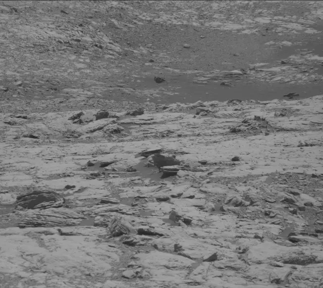 Sol 1998: Mast Camera (Mastcam)
