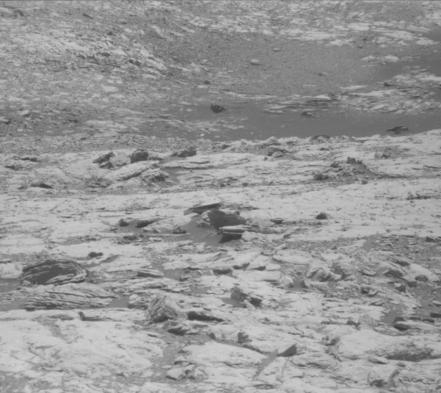 Sol 1998: Mast Camera (Mastcam)