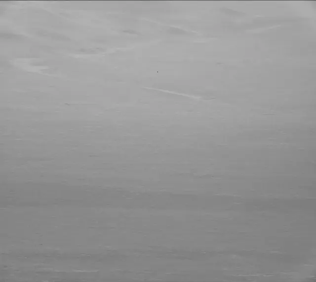 Sol 1998: Mast Camera (Mastcam)