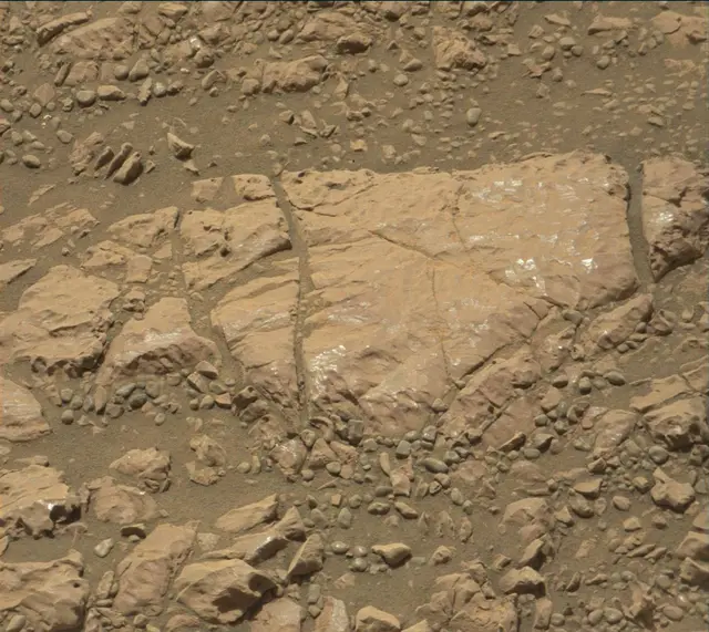 Sol 1998: Mast Camera (Mastcam)
