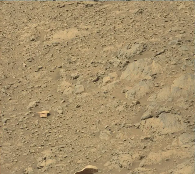Sol 1998: Mast Camera (Mastcam)