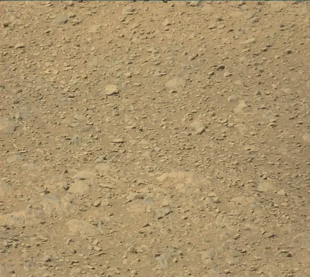 Sol 1998: Mast Camera (Mastcam)