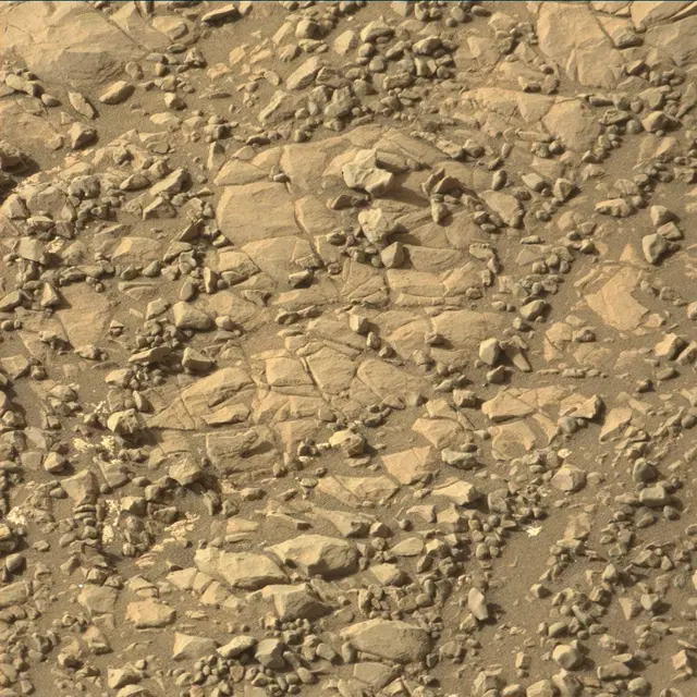Sol 1998: Mast Camera (Mastcam)