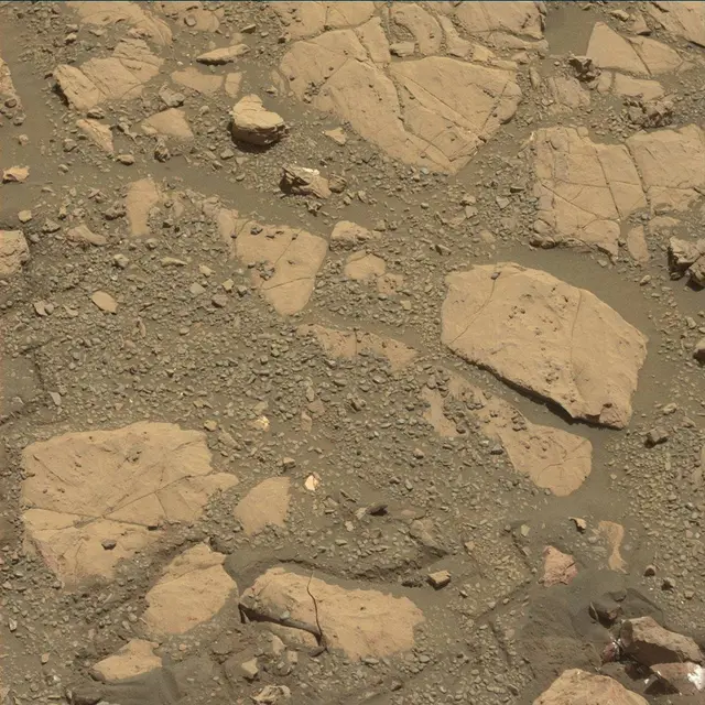Sol 1999: Mast Camera (Mastcam)