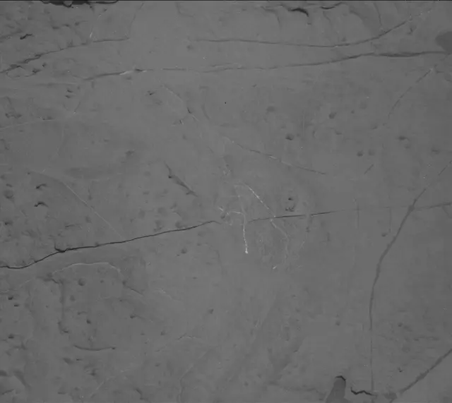 Sol 2002: Mast Camera (Mastcam)