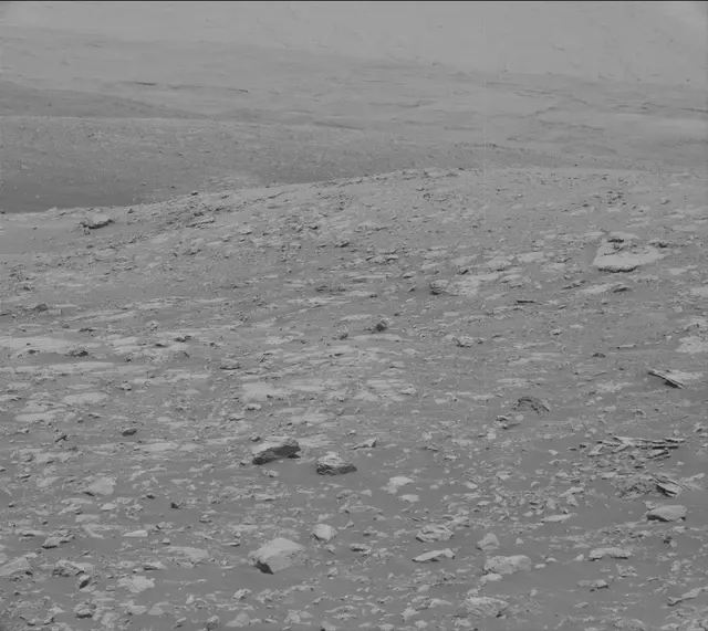 Sol 2003: Mast Camera (Mastcam)
