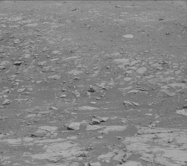 Sol 2003: Mast Camera (Mastcam)
