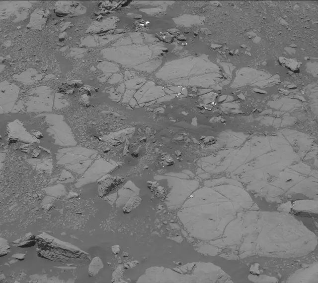 Sol 2004: Mast Camera (Mastcam)