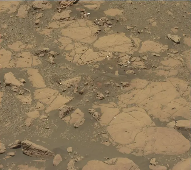 Sol 2004: Mast Camera (Mastcam)
