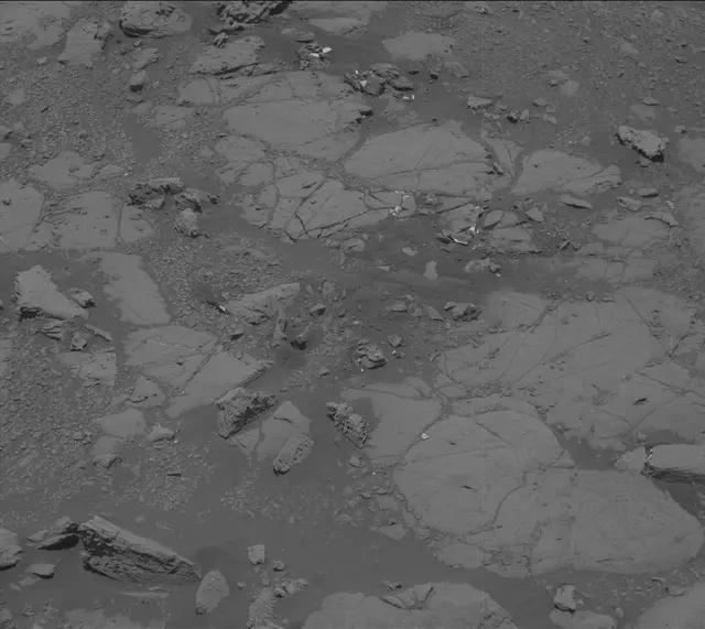 Sol 2004: Mast Camera (Mastcam)