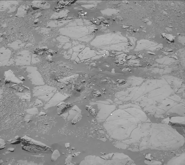 Sol 2004: Mast Camera (Mastcam)