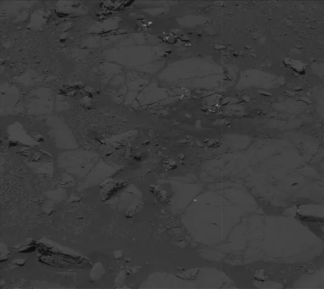 Sol 2004: Mast Camera (Mastcam)