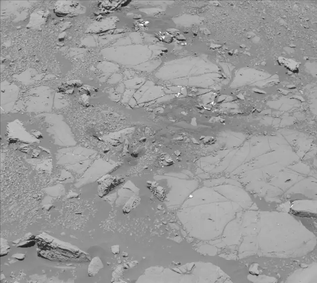 Sol 2004: Mast Camera (Mastcam)